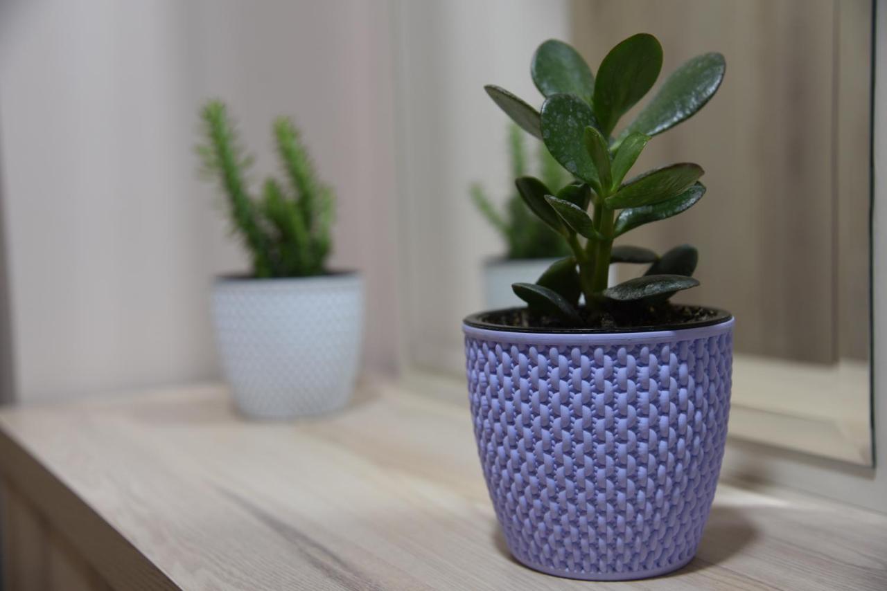 Ecoart Apartments Tirana Zewnętrze zdjęcie